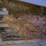 Seattle siding effects of years of water intrusion